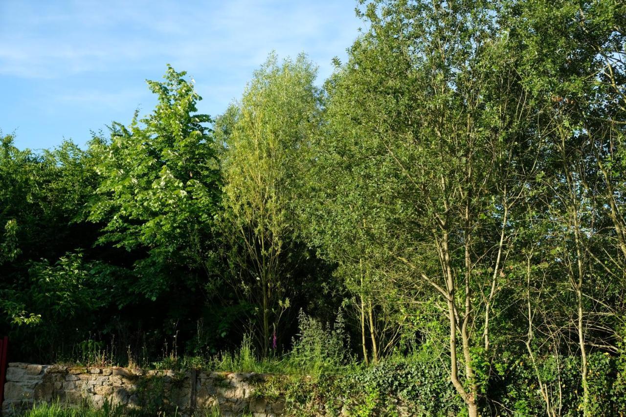 La Maison Jaune A La Janaie Parigné Exterior foto