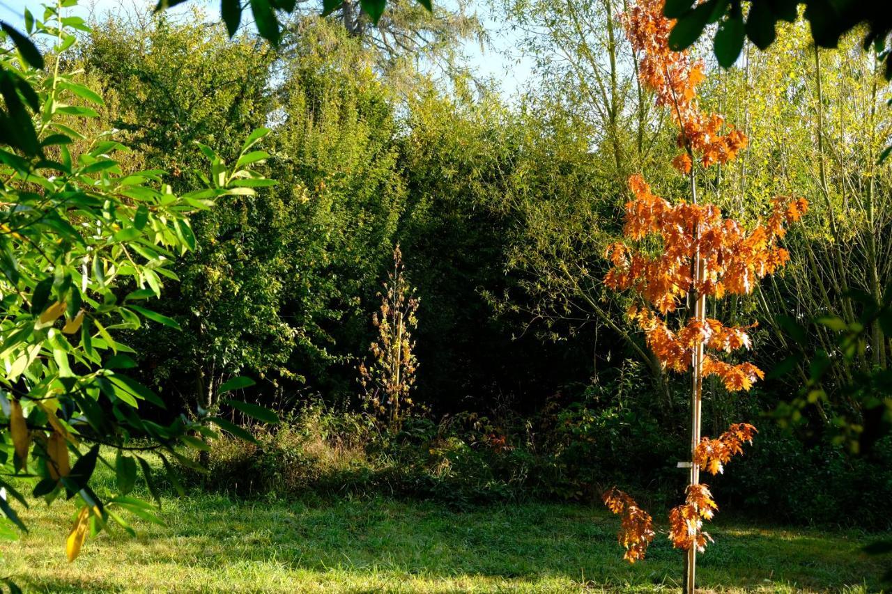 La Maison Jaune A La Janaie Parigné Exterior foto